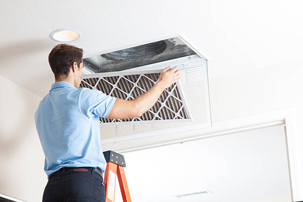 Best HVAC air duct cleaning  in Wheaton, MN
